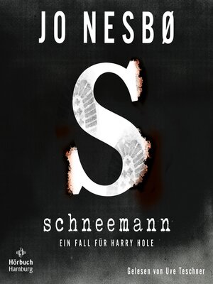cover image of Schneemann